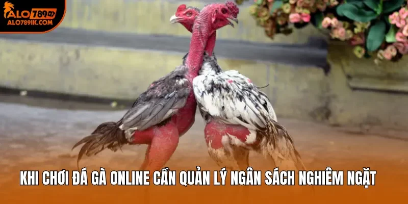 Khi chơi đá gà online cần quản lý ngân sách nghiêm ngặt